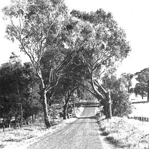 1950-Manchester-Rd-towards-school